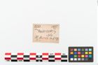 Etikett zu Schleifstein (NHMW-PRAE-002281)